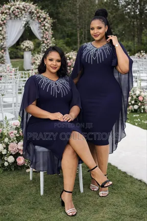 Elegant Sheer Sleeved Dress