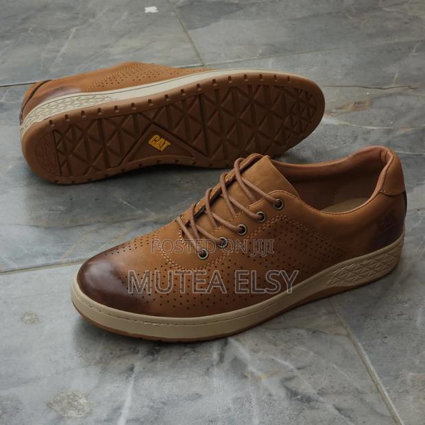 Grey,Brawn Coffee Brawn Cat Luxury Design Low Cuts - thumbnail 3