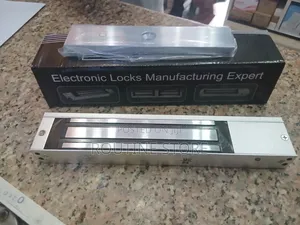 Electronic Maglock Access Control