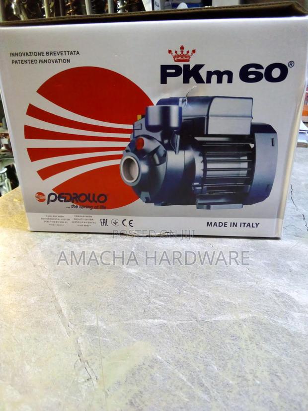 Quality 0.5 Pedrollo Water Pump - main view