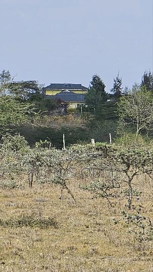 Plot 50 by 100 - thumbnail 2