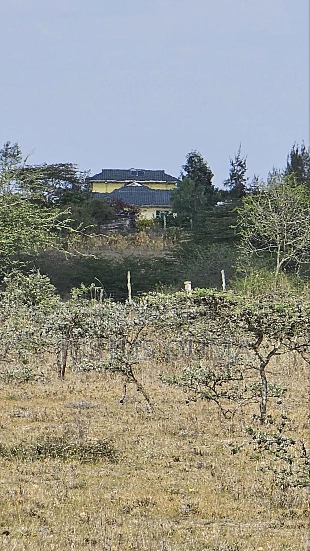 Plot 50 by 100 - main view