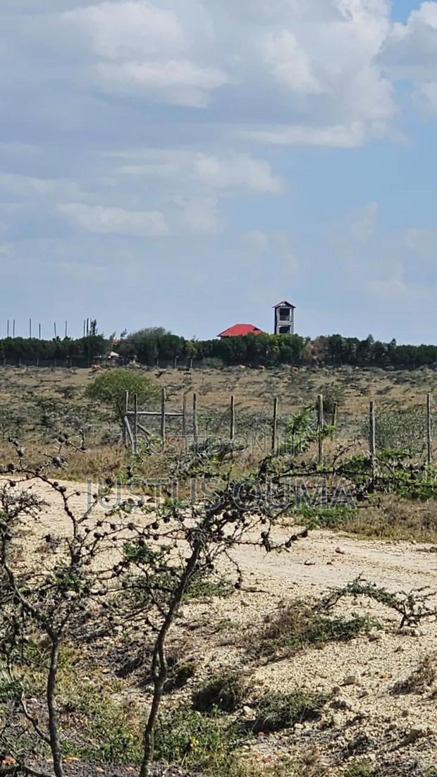 Plot 50 by 100 - thumbnail 4