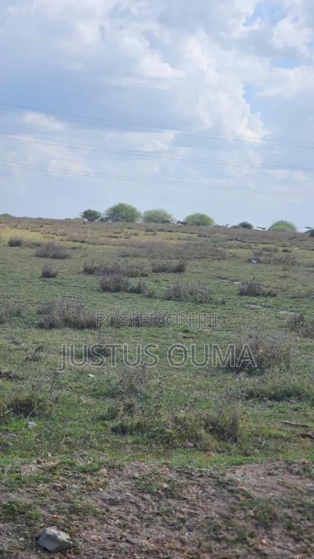 Plot 50 by 100 - thumbnail 5