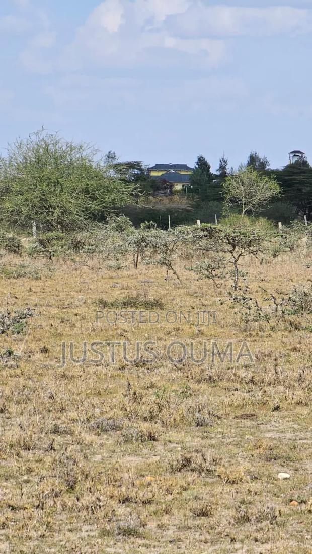 Plot 50 by 100 - thumbnail 7