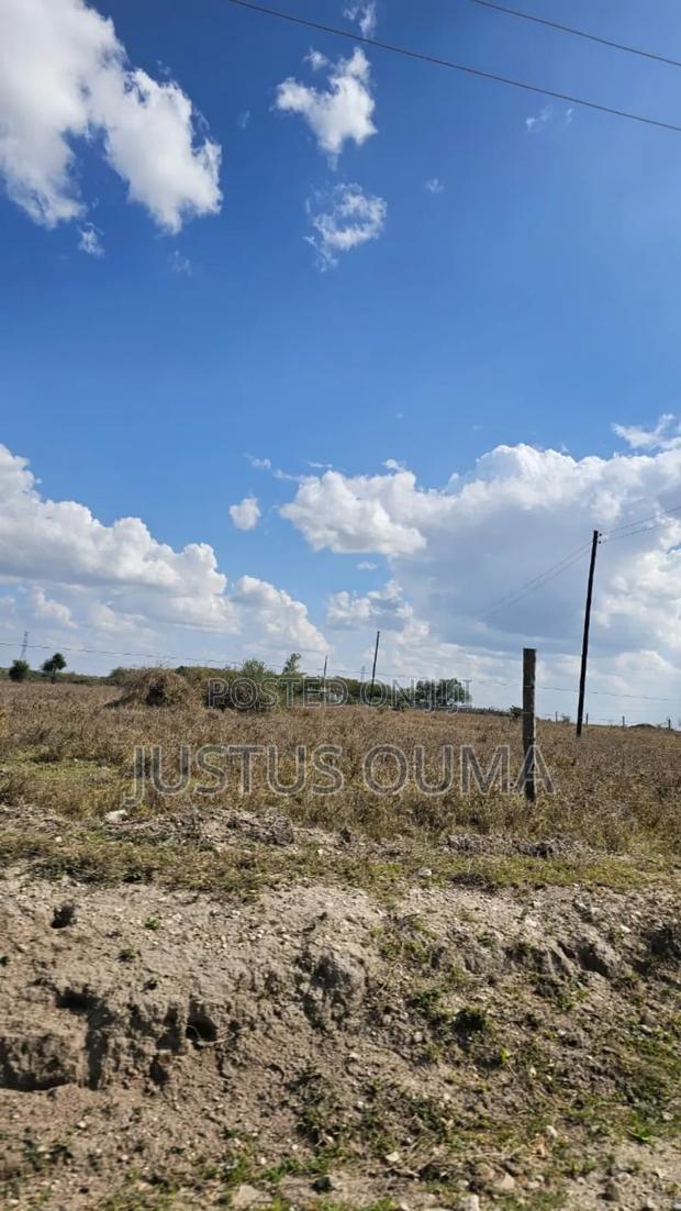 Plot 50 by 100 - thumbnail 8