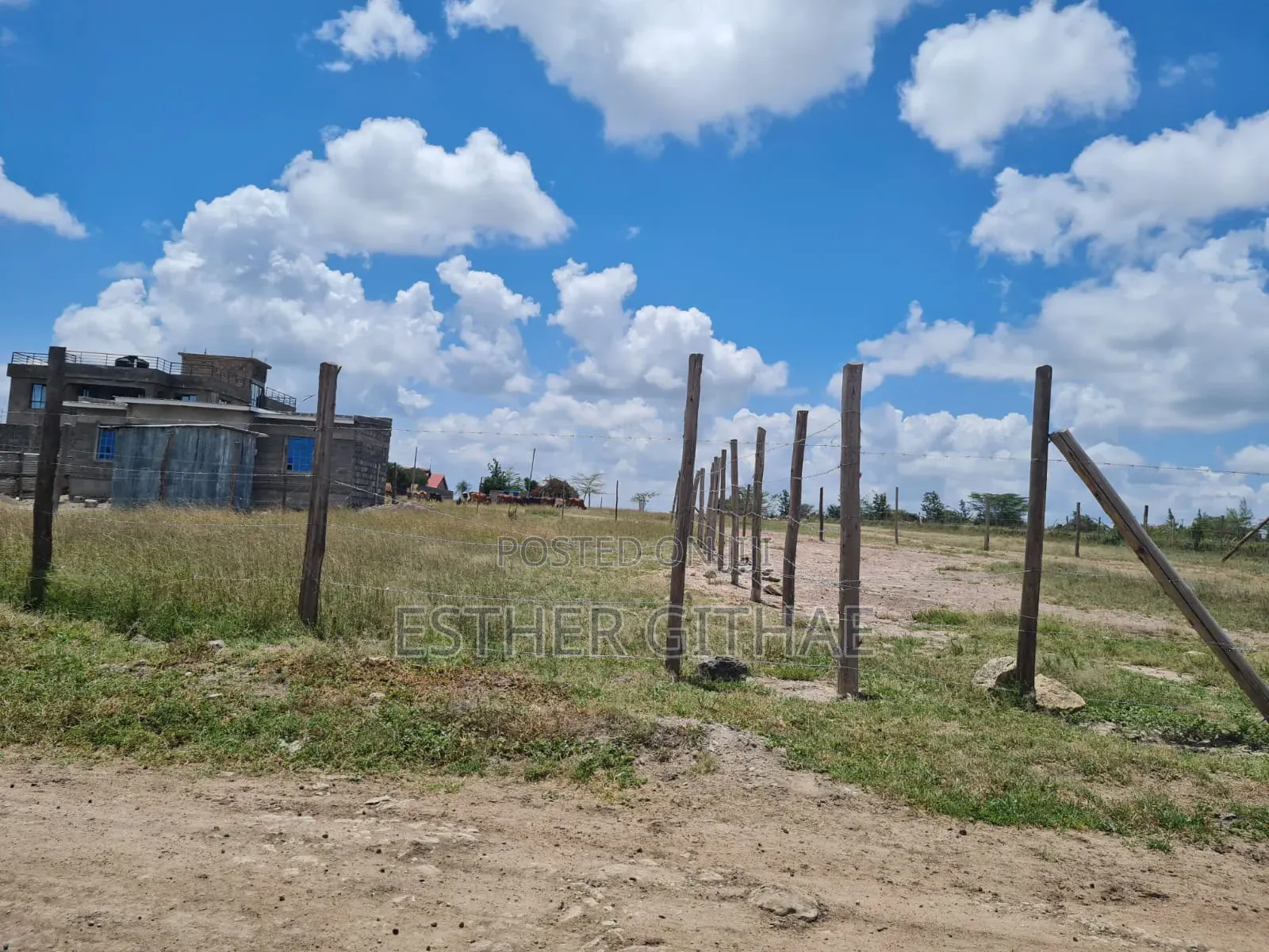 50 by 100 Plot Near East Africa University