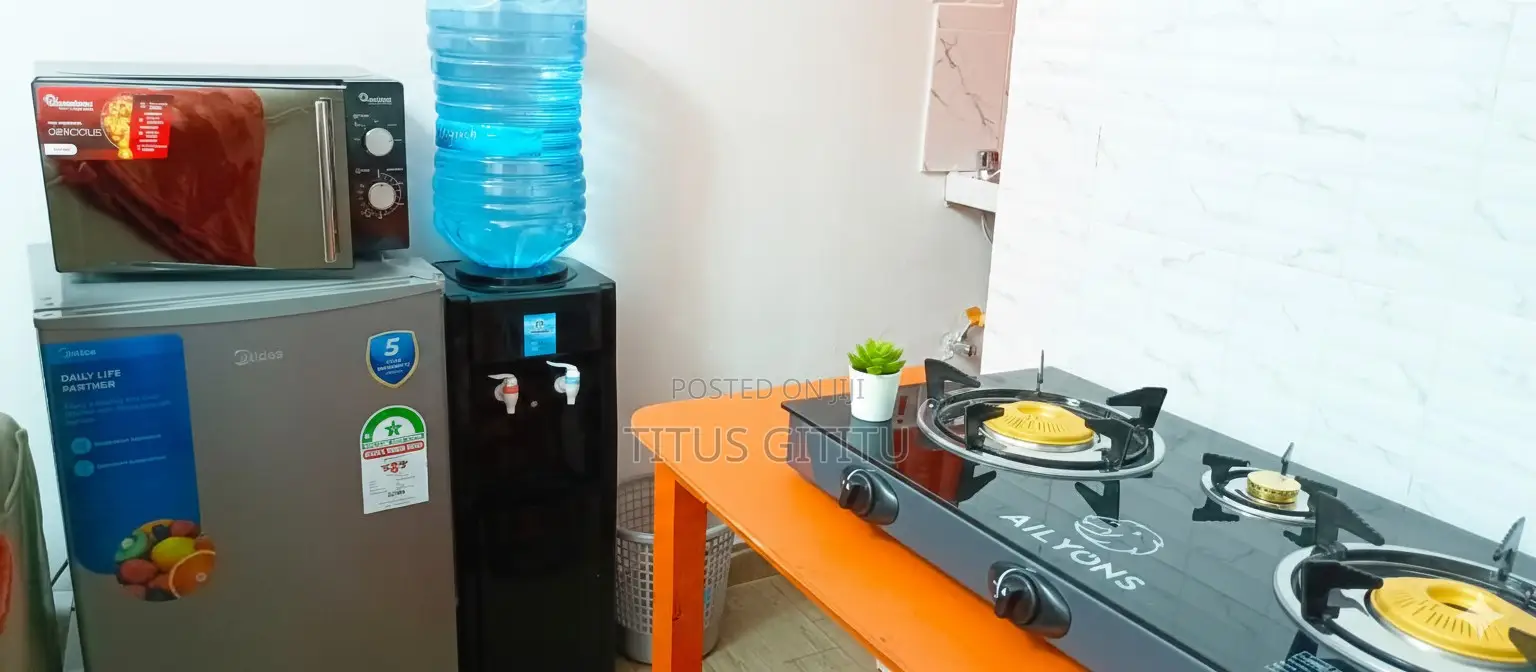 Furnished Studio Nanyuki | Near Artcaffé Moran Lounge | Secure |