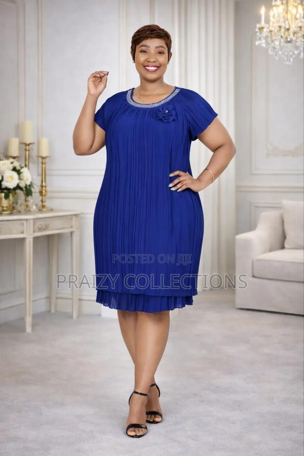 Soft Pleated Chiffon Dress