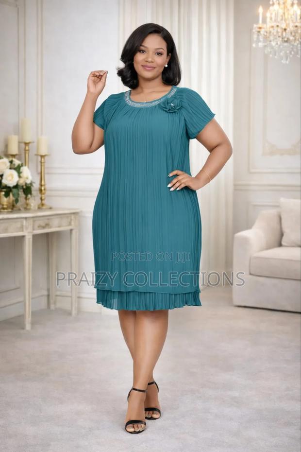 Soft Pleated Chiffon Dress - thumbnail 4
