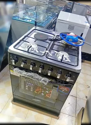 Ecomax Standing Oven, 60*60