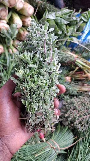 Fresh Herbs. Thyme, Dill, Basil, Oregano, Lemon Grass, Chives, Mint . - thumbnail 2