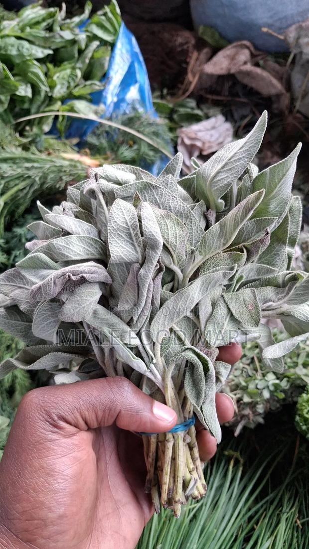 Fresh Herbs. Thyme, Dill, Basil, Oregano, Lemon Grass, Chives, Mint . - thumbnail 3