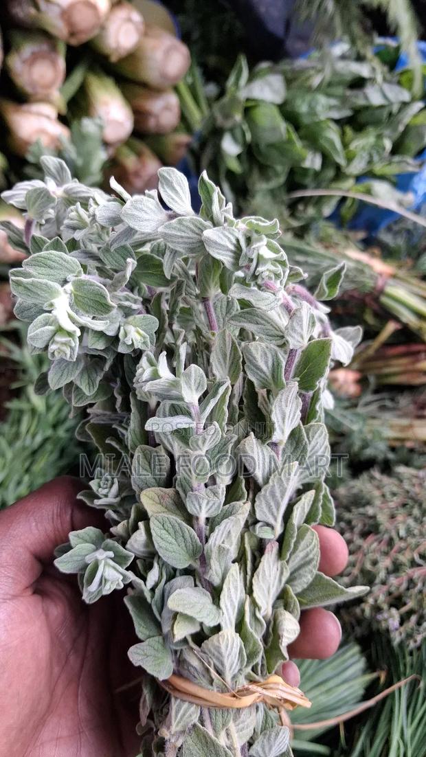 Fresh Herbs. Thyme, Dill, Basil, Oregano, Lemon Grass, Chives, Mint . - thumbnail 5