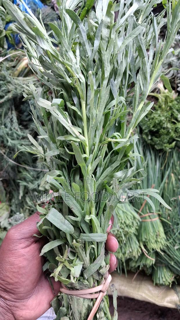 Fresh Herbs. Thyme, Dill, Basil, Oregano, Lemon Grass, Chives, Mint . - thumbnail 8