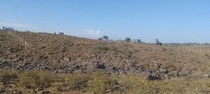 Big Plot for Sale - thumbnail 2