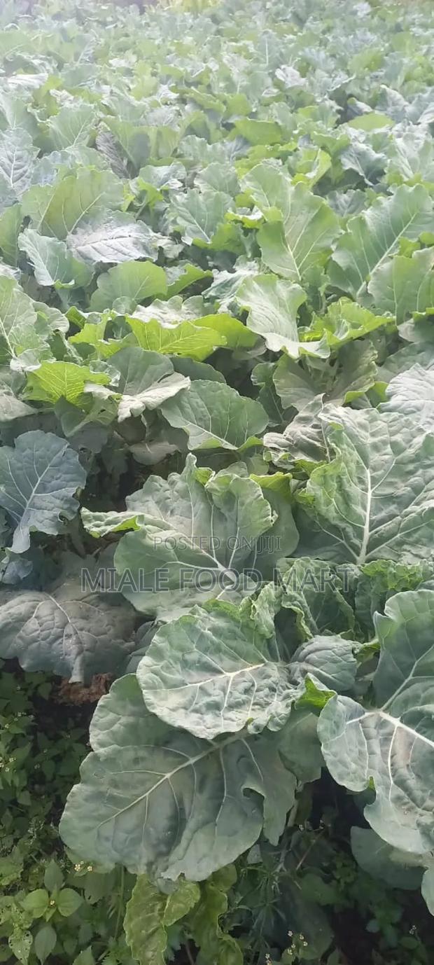 Fresh Groceries Supplier - thumbnail 8