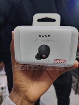 Sony Wf-1000xm5 Earbuds - main view