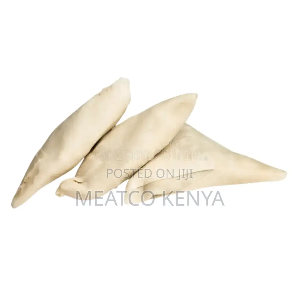 Frozen Chicken Samosas 20pcs