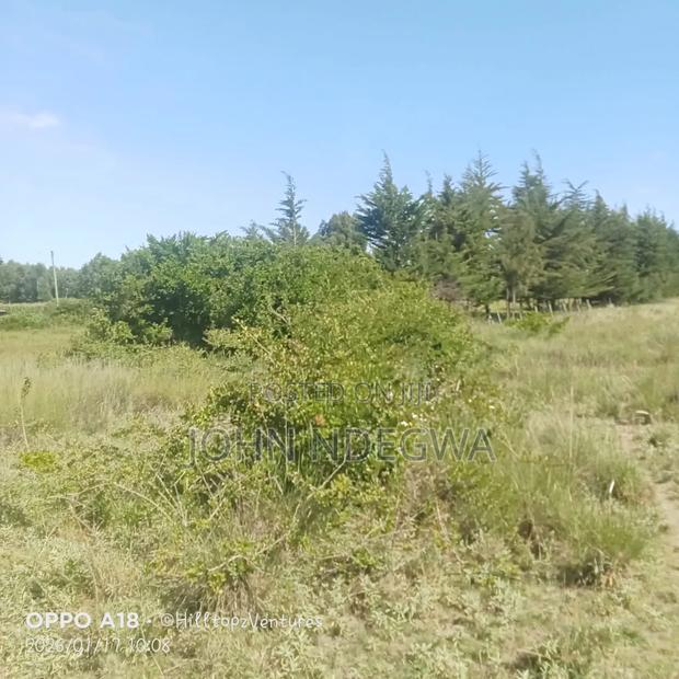 Nanyuki Prime Land - thumbnail 2