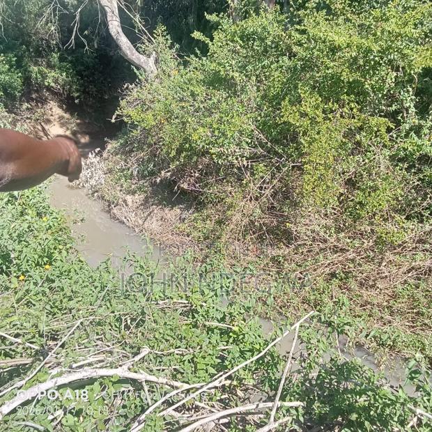 Nanyuki Prime Land - thumbnail 4