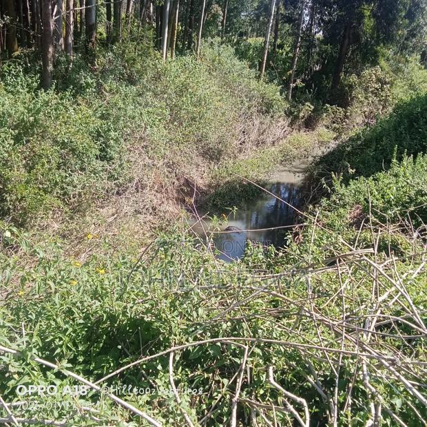 Nanyuki Prime Land - thumbnail 14