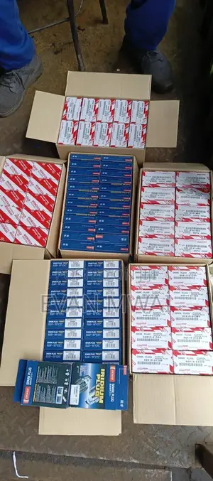 Plugs High Quality 50000km to 60000kms Service