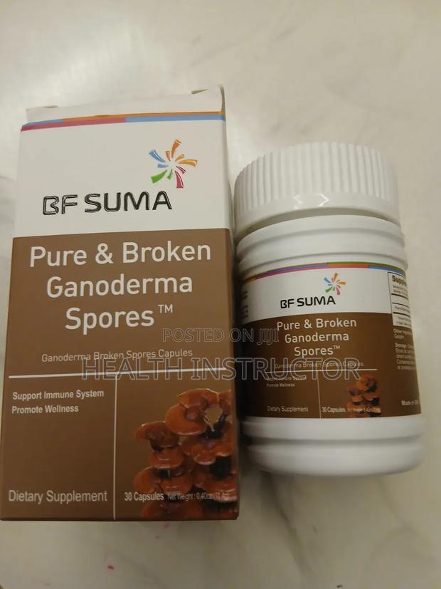 Pure Broken Ganoderma Spores - main view