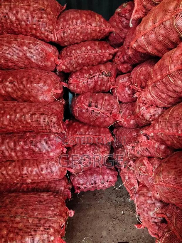 Onions in Nakuru - main view