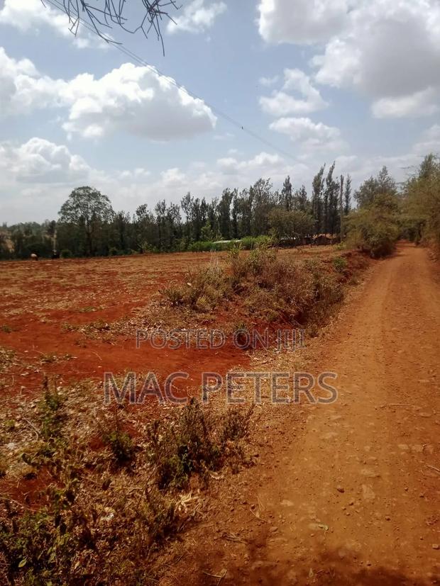 14 Acres Prime Land for Sale – Kirinyaga (Togonye) - thumbnail 2
