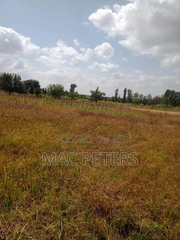 14 Acres Prime Land for Sale – Kirinyaga (Togonye) - thumbnail 3
