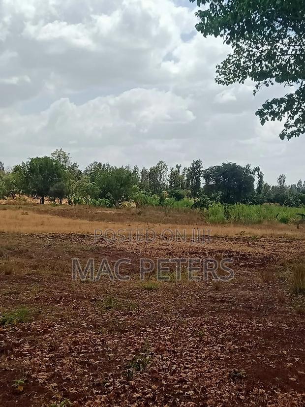 14 Acres Prime Land for Sale – Kirinyaga (Togonye) - thumbnail 4