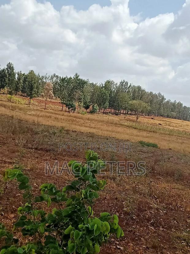 14 Acres Prime Land for Sale – Kirinyaga (Togonye) - thumbnail 5