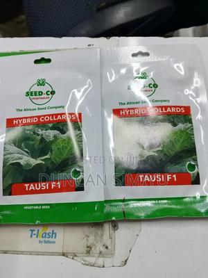 Tausi F1 Sukuma Seedlings - main view