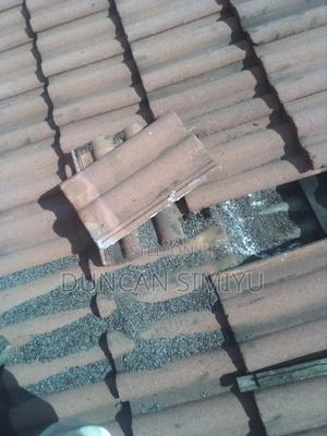Effective and Best Bats Repellent in Nairobi