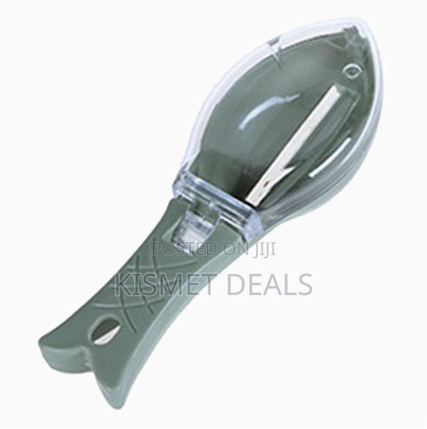 *Fish Scales Graters Scraper - main view