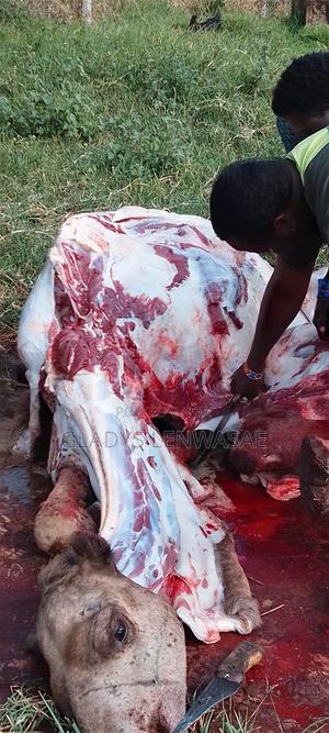 Rabbit Market - main view