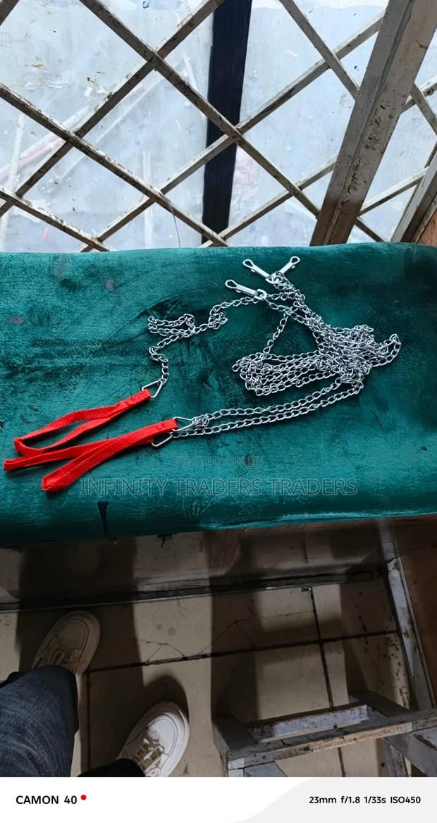 Dog Chain Dog Chain