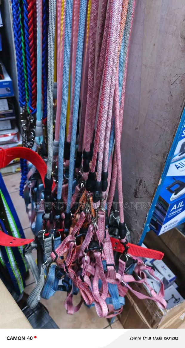 Dog Leash Harness With Collar - main view