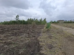 1⁄4 Acre Plots in Kamulu