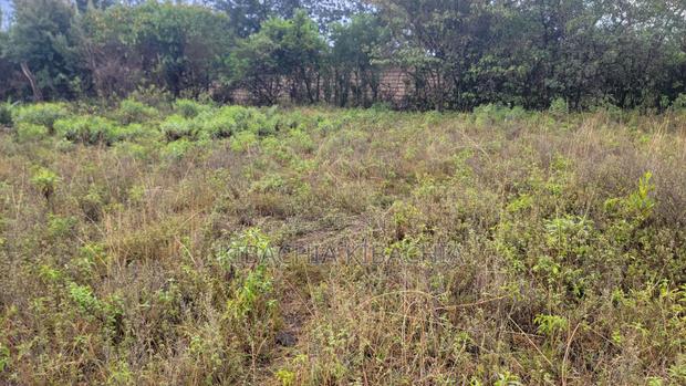 Land for Sale - thumbnail 2