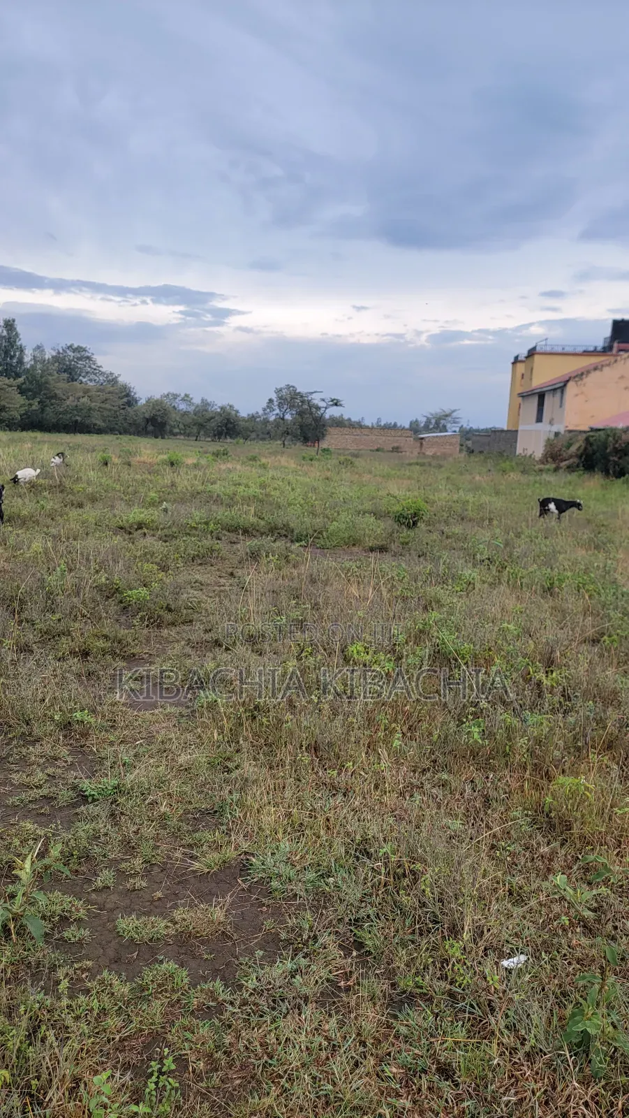 Land for Sale