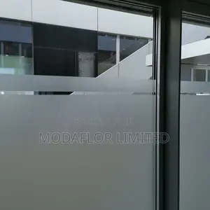 Privacy Frosted Film Light Friendly