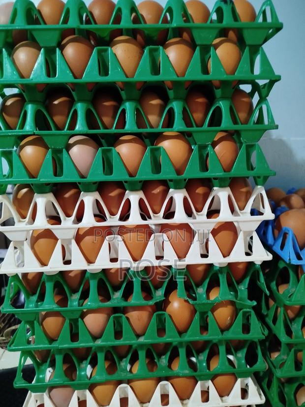 Layers Eggs - main view