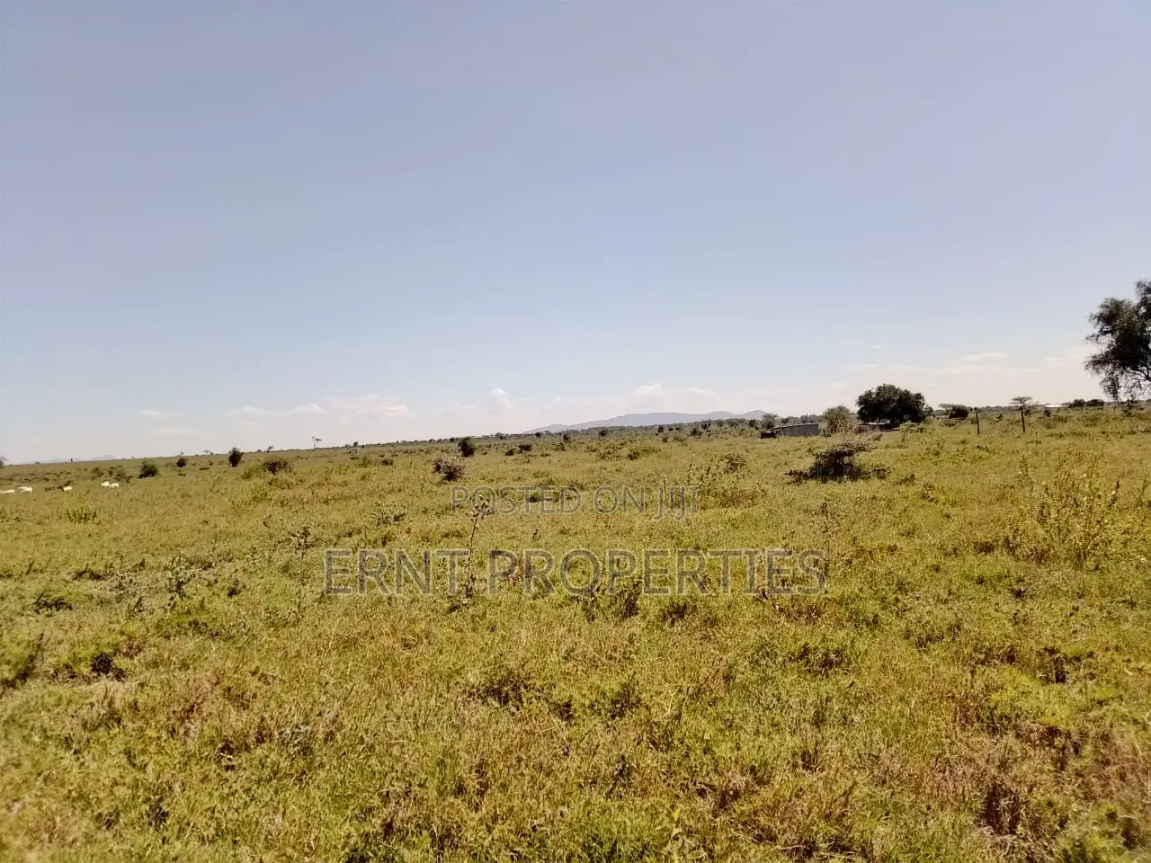 7 Acres Prime Fertile Land For Sale In Kajiado Oloosuyan
