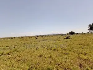 7 Acres Prime Fertile Land For Sale In Kajiado Oloosuyan