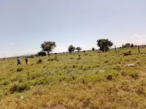 7 Acres Prime Fertile Land For Sale In Kajiado Oloosuyan