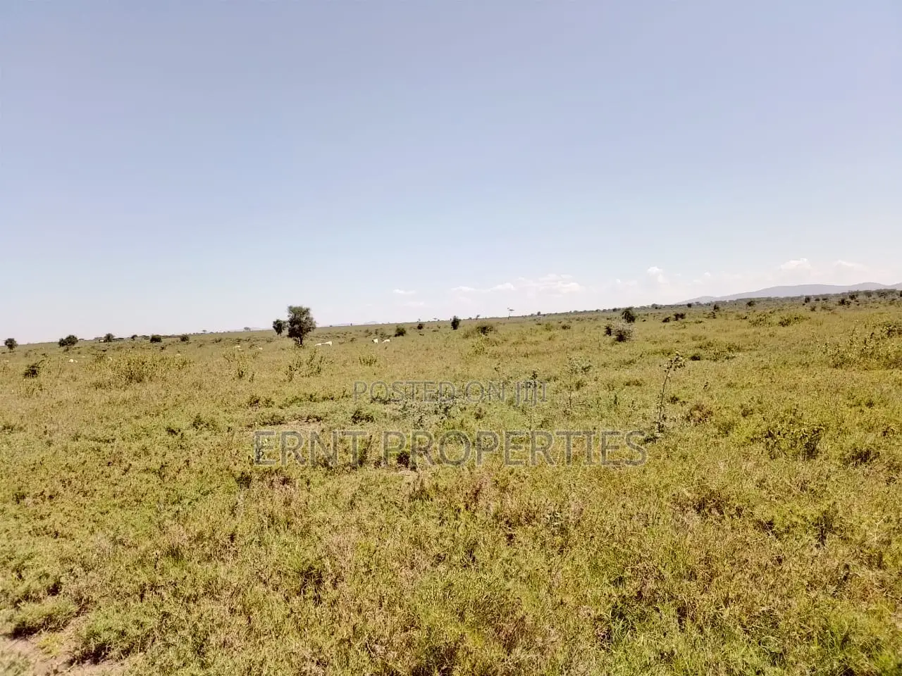 7 Acres Prime Fertile Land For Sale In Kajiado Oloosuyan