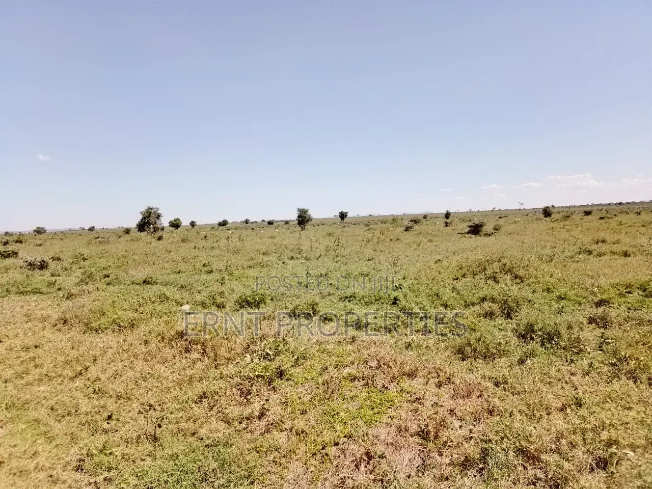 7 Acres Prime Fertile Land For Sale In Kajiado Oloosuyan