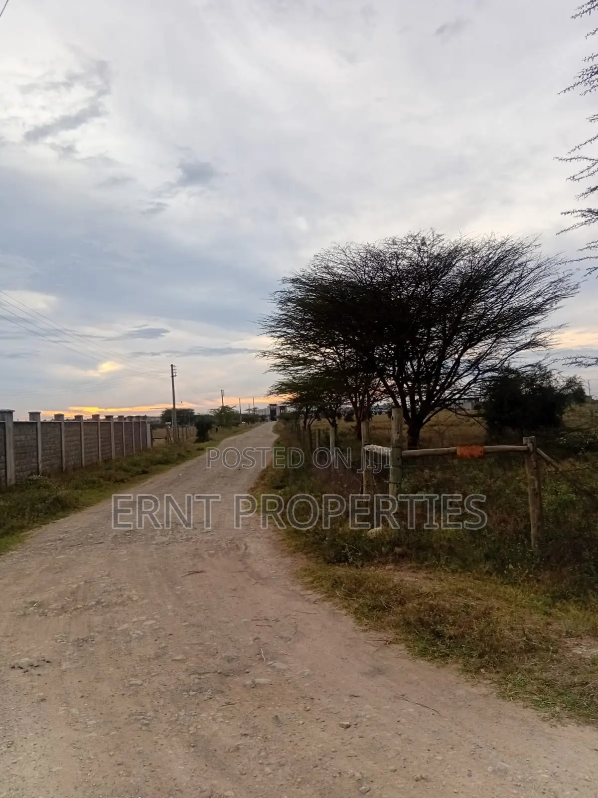 2 1/8 Acre Plots for Sale in Lower Acacia, Kitengela Gated Community